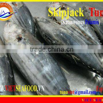 FROZEN W/R SKIPJACK TUNA