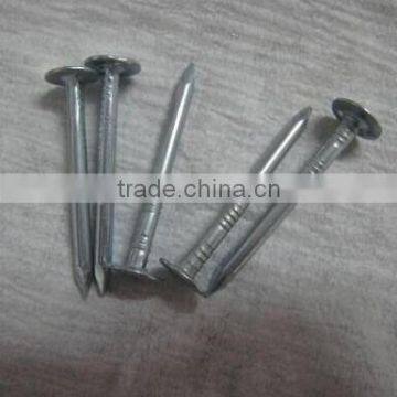 Galvanized Cupper Nails With Factory Price photo-3