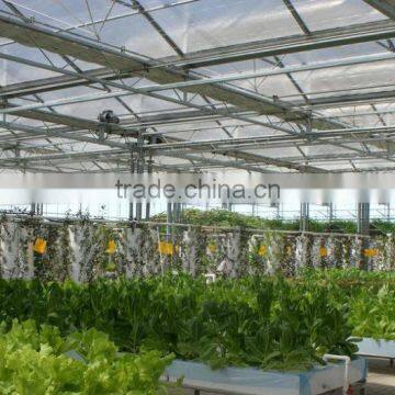 Large Multi-span Glass Green House Agriculture for Farming
