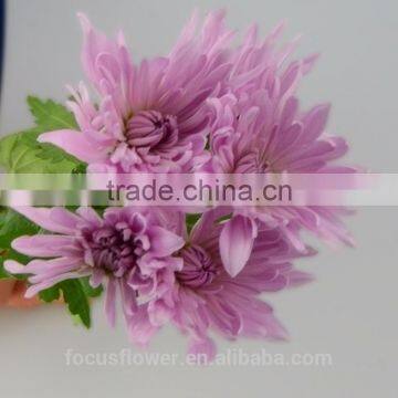 Decorative Flowers & Wreaths Type Chrysanthemum Pink From KUNMING photo-3