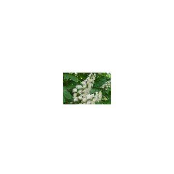 Buckeye Seed