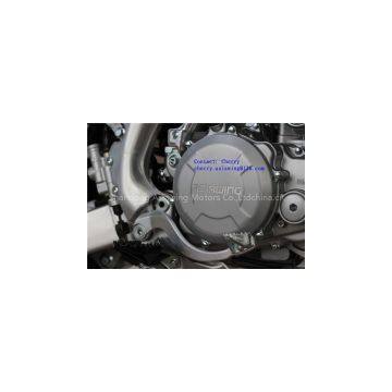 Dirtbike LX450S 450cc Engine photo-2