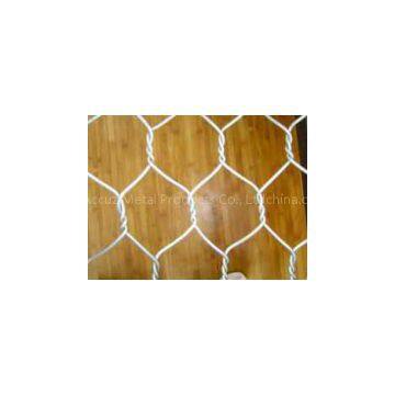 Hexagonal Wire Netting| Shandong Accuz Metal Products Co., Ltd.