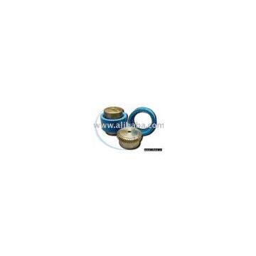 Flexible Coupling