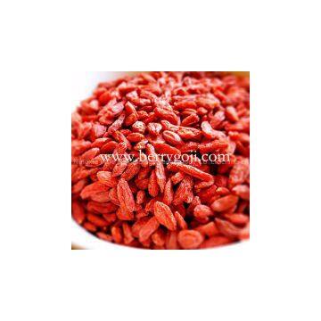 Conventional Ningxia Goji Berry photo-2