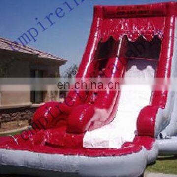 2015 new fashion commercial inflatable pool slide WS046