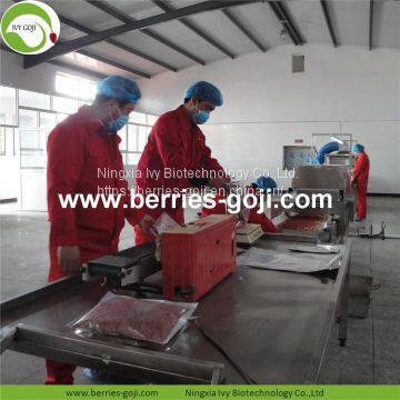 Factory For Sale Dried Conventional Goji Berry photo-4