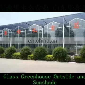 Agricultural Greenhouse Complete Galvanized Steel Structure Glass Cover Greenhouse