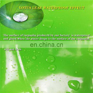 Coating Cloth PVC Mesh Cloth Green Canvas Tarpaulin Red Cover Cloth China Windsurfing Factory photo-6