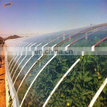 High quality single layer tunnel plastic film greenhouse for vegetable