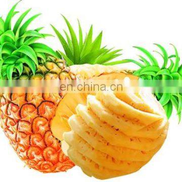 Automatic Fruit Peeling Machine Industrial Pineapple Chips Making Machine photo-3