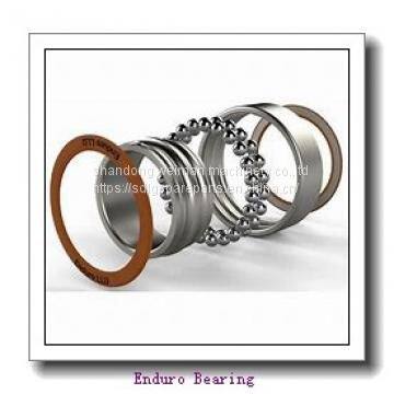 Enduro Bearing