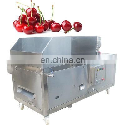 Factory Directly Sale Pitter Hot Export Cherry Apple Peach Plum Olive Apricot Seed Core Pitter Remover