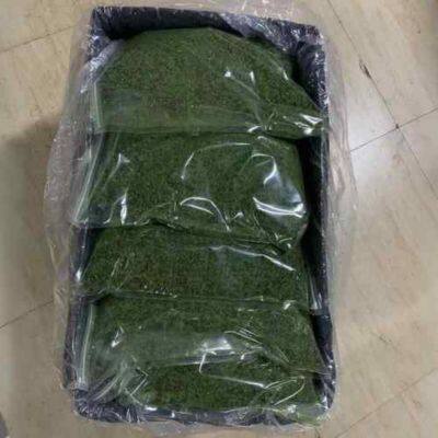 Ao Nori Powder photo-3