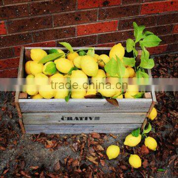 Antique Wood Box Fruit Crate Used Cheap Wooden Apple Crates Wholesale