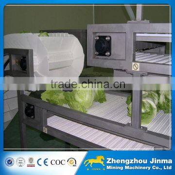 Adjustable Speed Vegetable Belt Conveyor Price Quality Choice photo-6