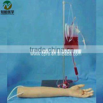 Child arm vein puncture model BIX-FS5