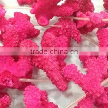 Wholesale Red Coral Natural Dyed in Red Rough for Jewelry Making photo-6
