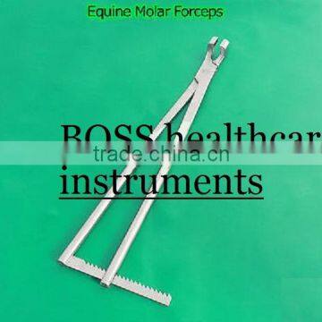 Equine Molar Forceps With Ratchet Veterinary Instruments