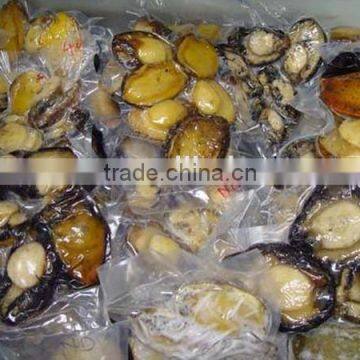 fresh frozen abalone meat shellfish