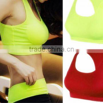 Hot Selling Sport Bra Women2008