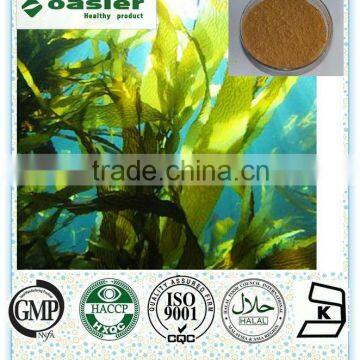 Factory Supply Kelp Extract In Best Selling