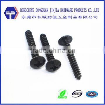 ASME anti theft self tapping screws