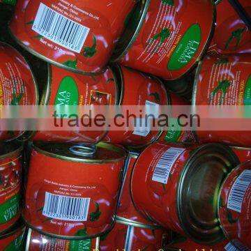 Export canned tomato paste for 198gm with brix 28-30%