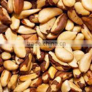 BRAZIL NUTS - CHESTNUTS