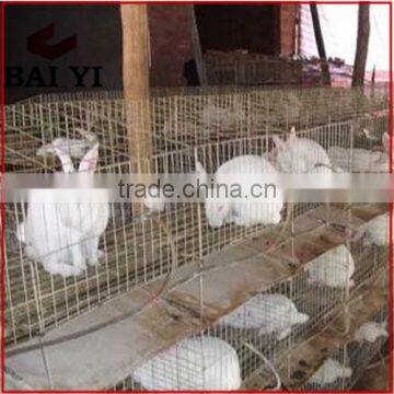 China Hot Sale Cheap Large High Quality Galvanized Rabbit Cage photo-5