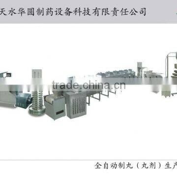 High Efficiency Fully Automatic Pill Making Machine line