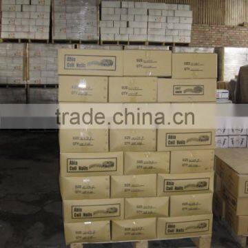 Coil Nails/ Coil Roofing Nails photo-4