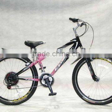 alloy mountain bicycle/bike/cycle