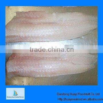 frozen alaska pollock fillet