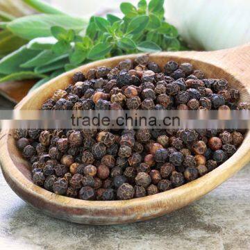 black pepper 2016 crop