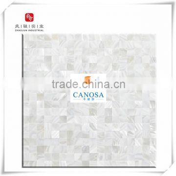 Luxury,Colorful,Home Decoration Shell Mosaic Mother of Pearl Interior Wall Decoration Material for swimming ,villa,building