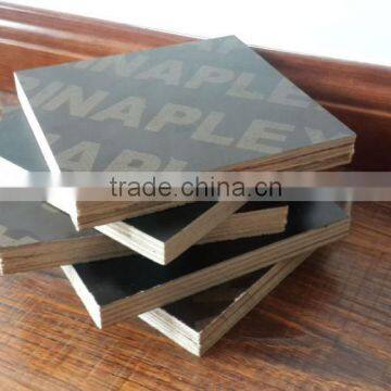 birch core waterproof film faced plywood