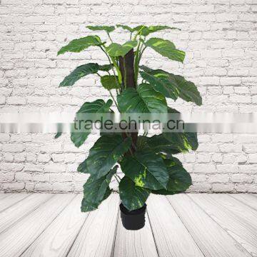 Artificial Dieffenbachia Evergreen Plant