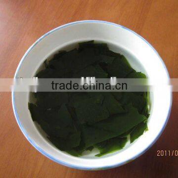 Dried Wakame Seaweed (500G*20/CTN)