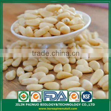 Wholesale High Quality Siberian Pine Nut Kernels