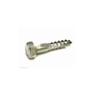 316 Stainless Steel Lag Bolts (Screws)