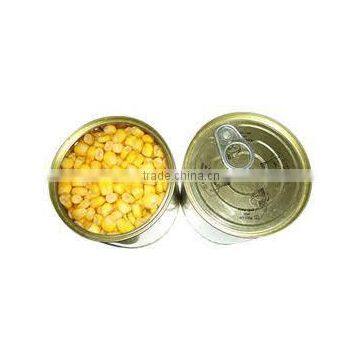 Canned Fruits photo-4