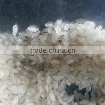 Camolino Rice photo-4