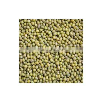 Mung Beans