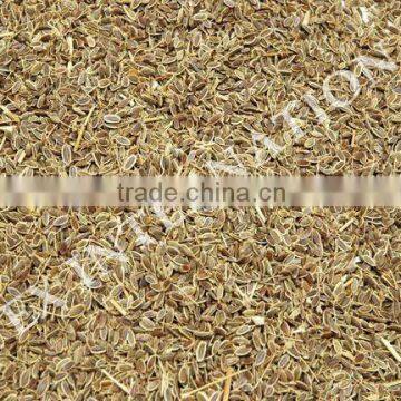 Spice-Dill Seeds / Anthem Graveolens / Suwa photo-2