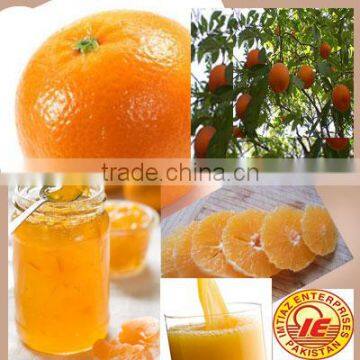 Mandarin (Kinnow)