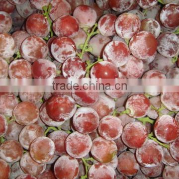 Crimson grapes supplier for canada market