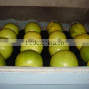 Fresh pomelo crop 2010