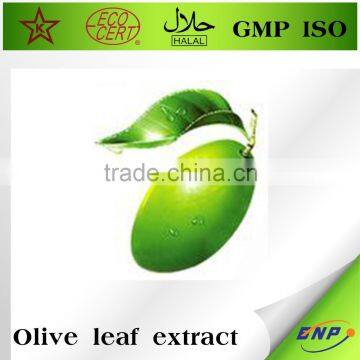 Mytext Olive Leaf Extract/P.E Oleuropein&Hydroxytyrosol