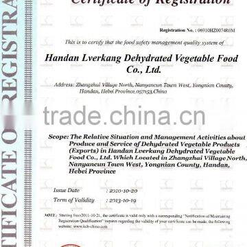 Garlic Flavour Seasoning Bouillon Powder Spices Powders photo-4